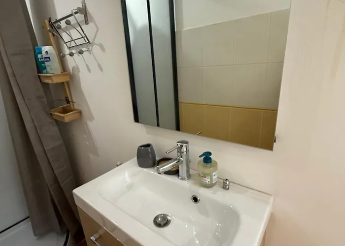 Apartament Le Mas-roc *